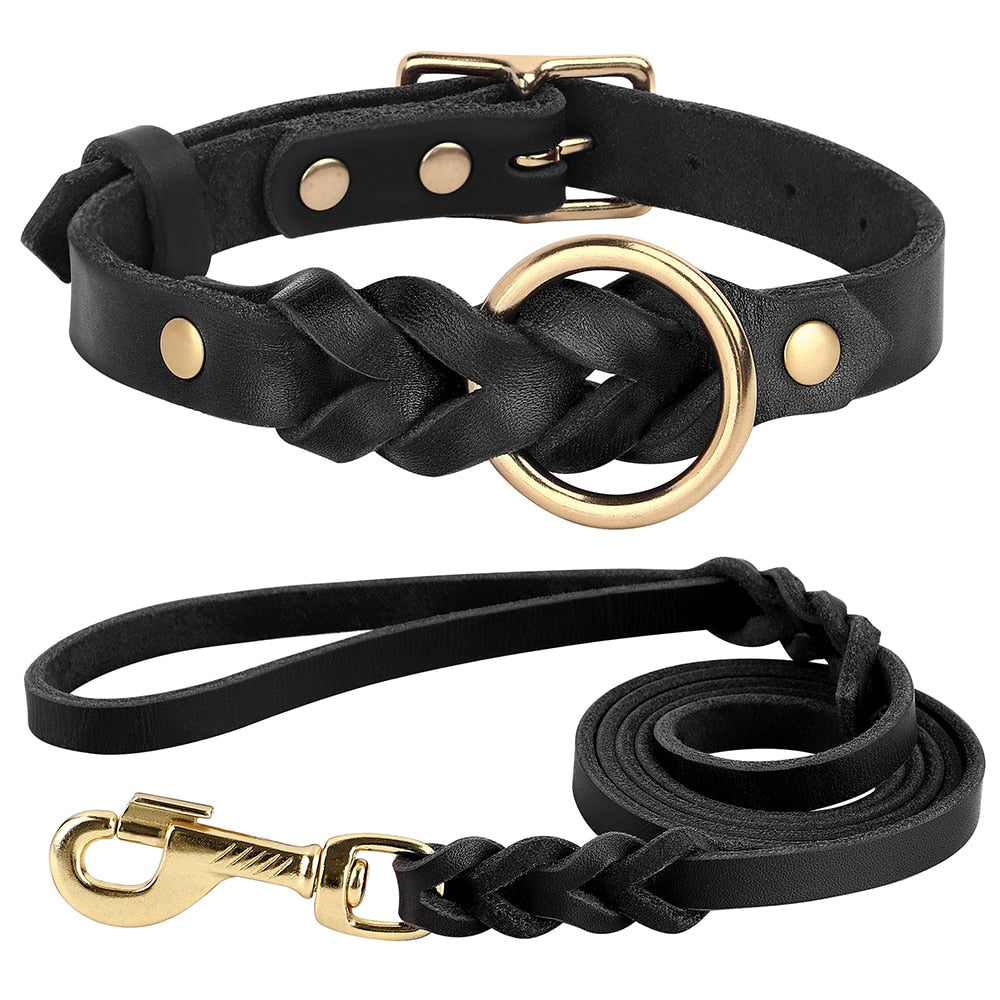 Leren halsband met riem zwart