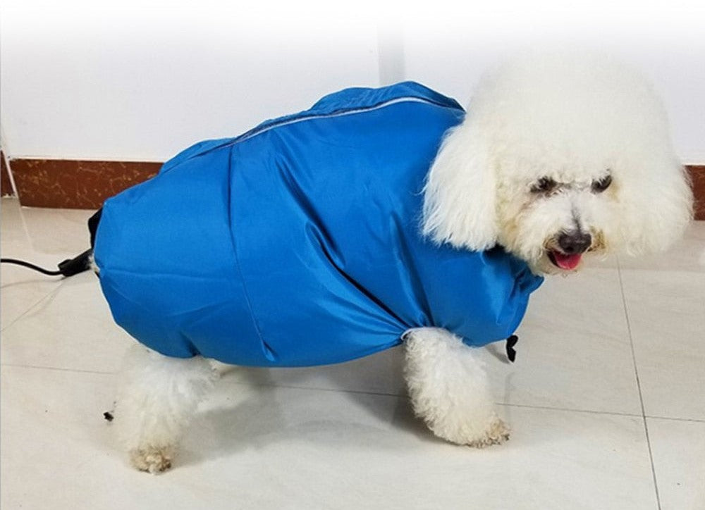 Hond met makkelijke hondendroger