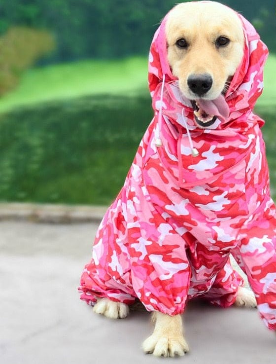 Hond in waterdichte regenjas in roze camouflage