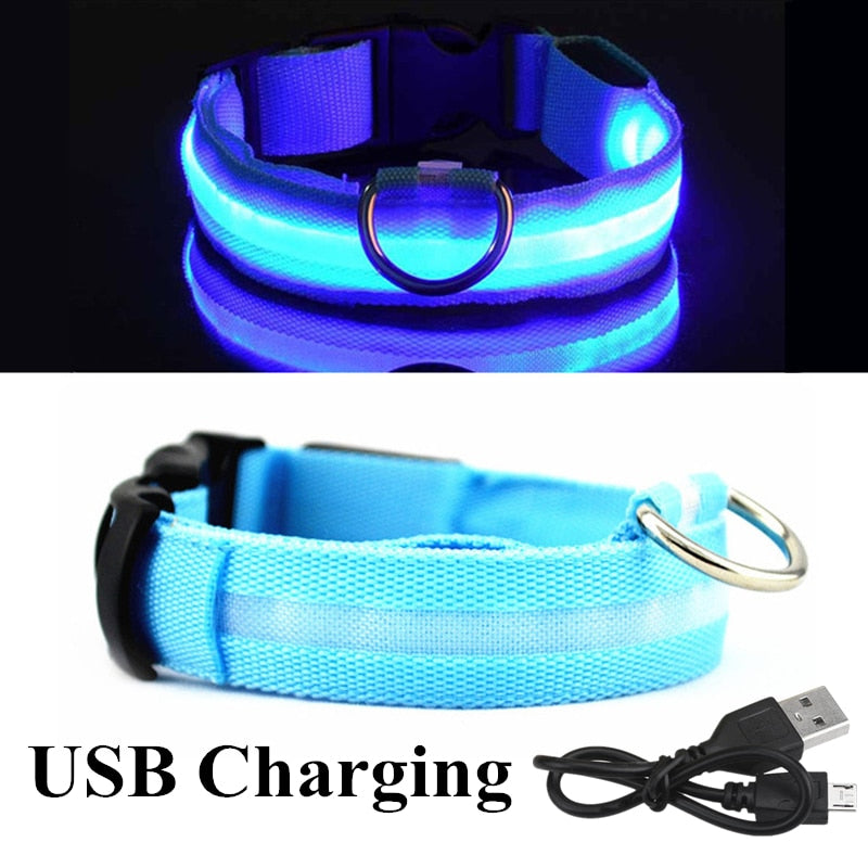 Oplaadbare led halsband in blauw