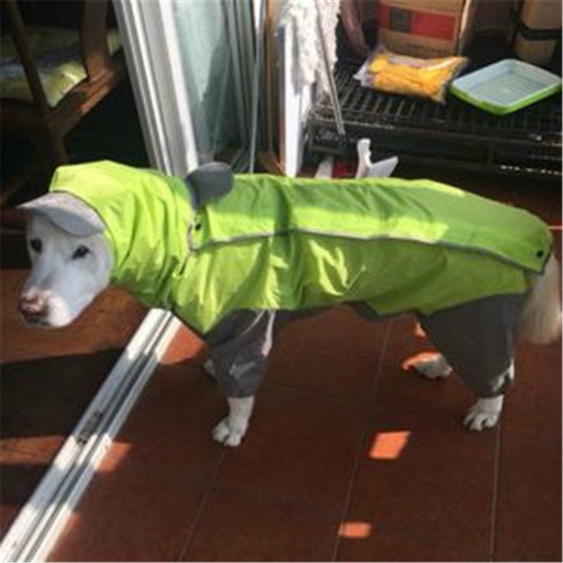 Hond in waterdichte regenjas in groen