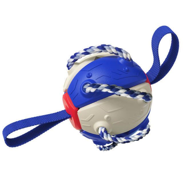 Honden frisbeebal in blauw-wit
