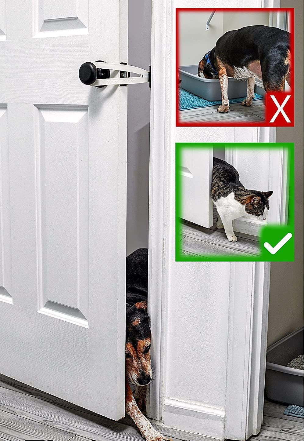 Hond probeert door deur met deurstop te komen