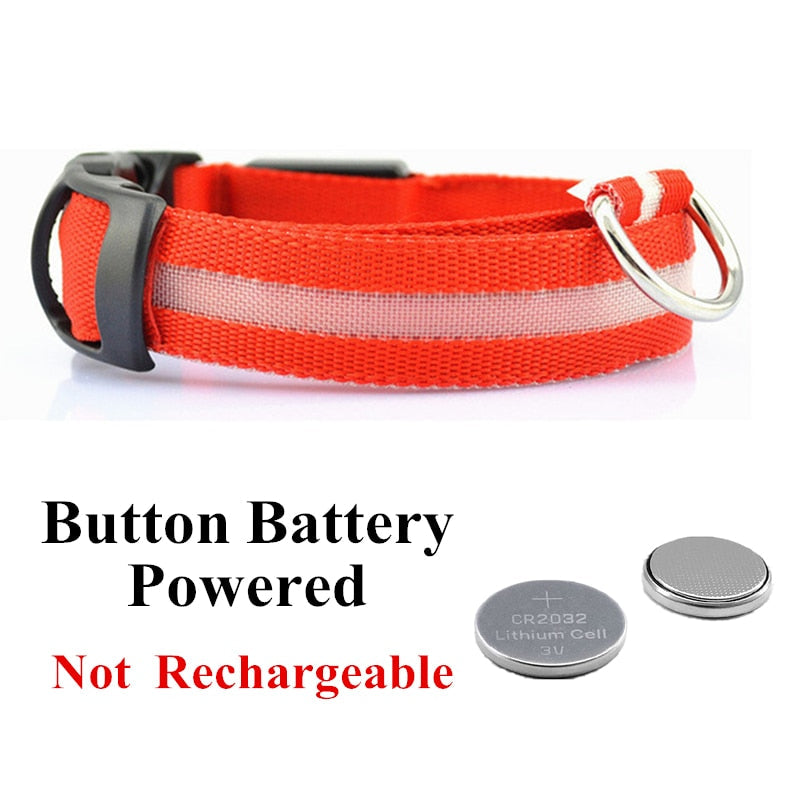 Led halsband werkend op batterijen in rood