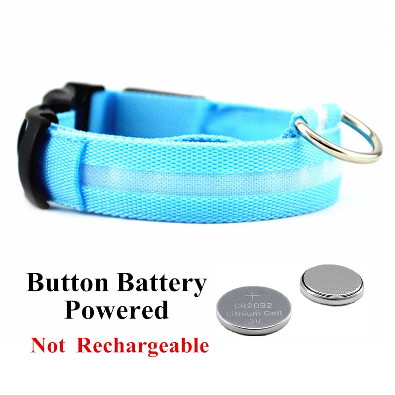 Led halsband werkend op batterijen in blauw