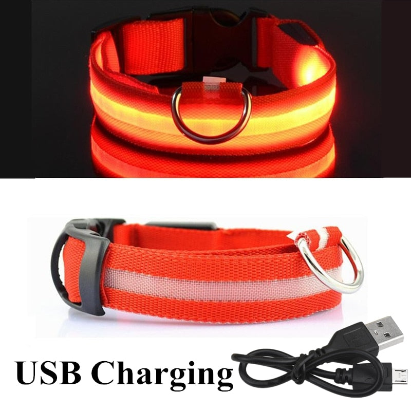 Oplaadbare led halsband in rood
