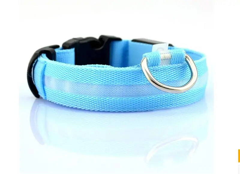 LED Glow-in-the-Dark halsband in blauw