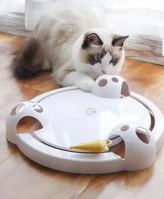 Kat met volautomatisch kattenspeeltje