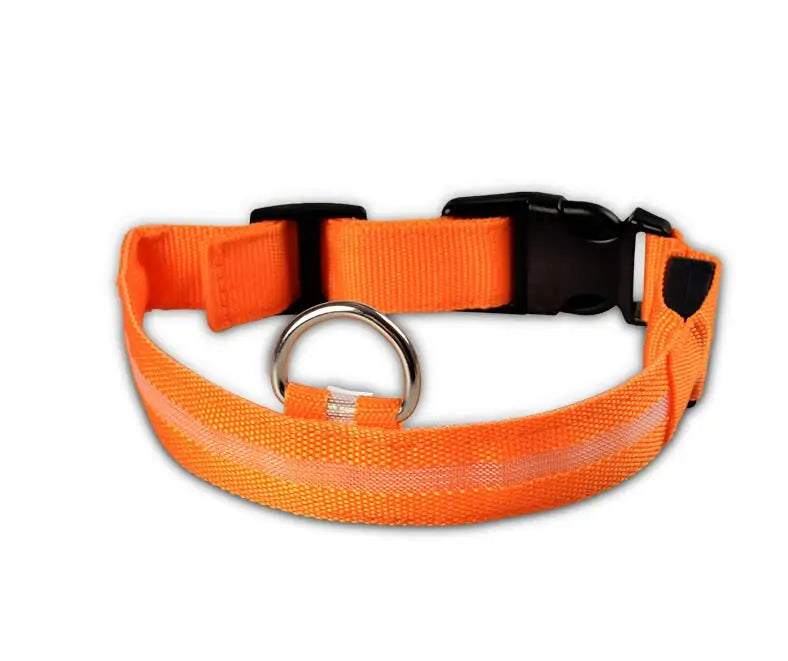 LED Glow-in-the-Dark halsband in oranje
