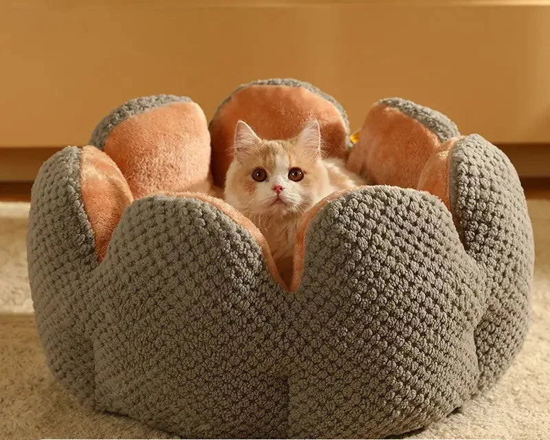 Kat in grijze mand