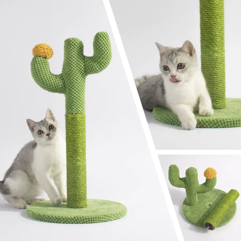 Kat met cactus krabpaal