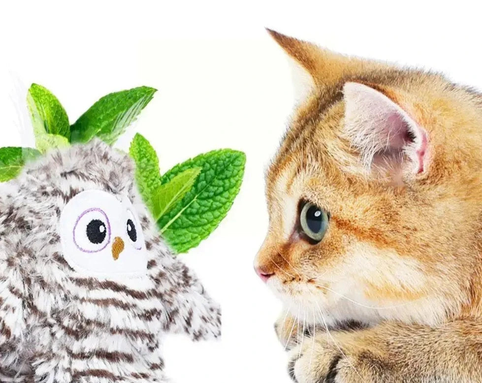 Kattenspeeltje bewerkt met kattenkruid