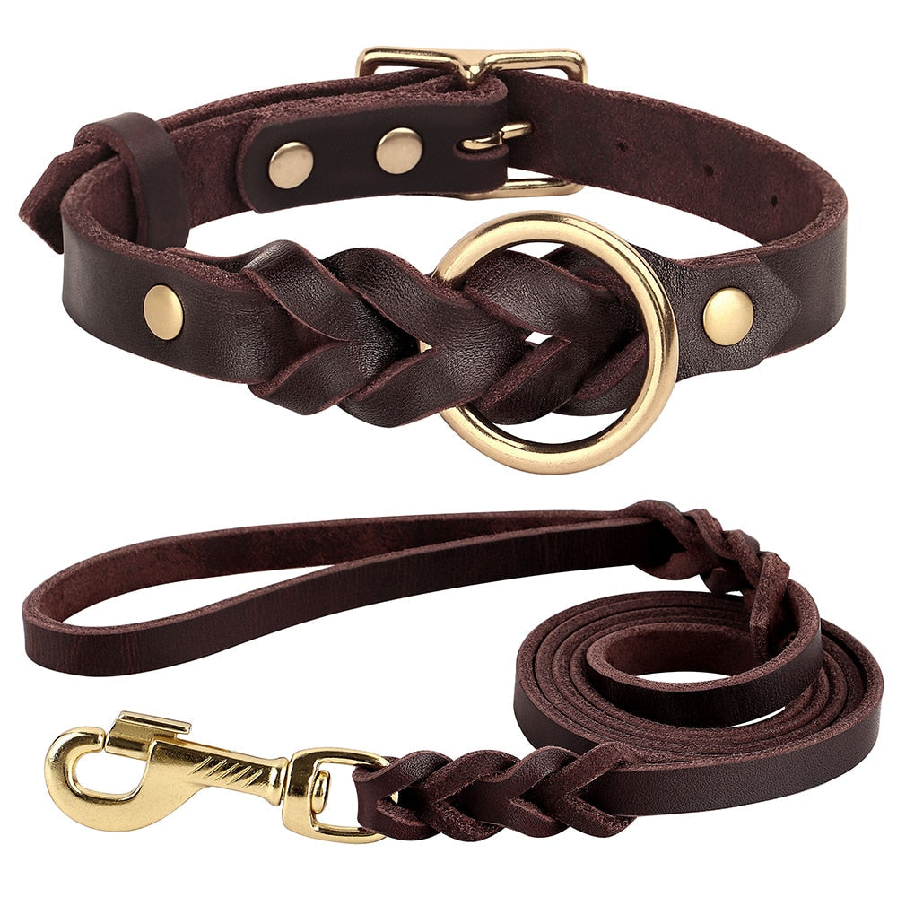 Stijlvolle leren halsband en riem in bruin