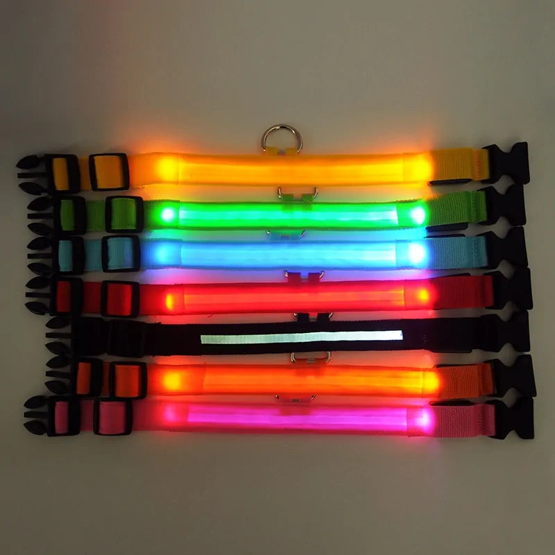 Brandende LED Glow-in-the-Dark halsband