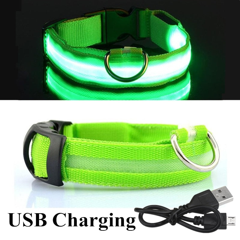 Oplaadbare led halsband in groen