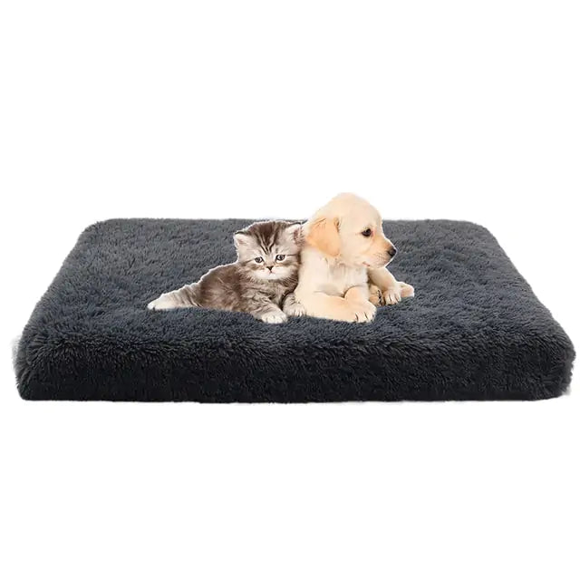 Cozy hondenmatras donkergrijs met puppy en kitten