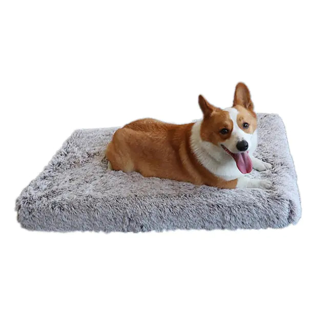 Cozy hondenmatras lichtgrijs met hond