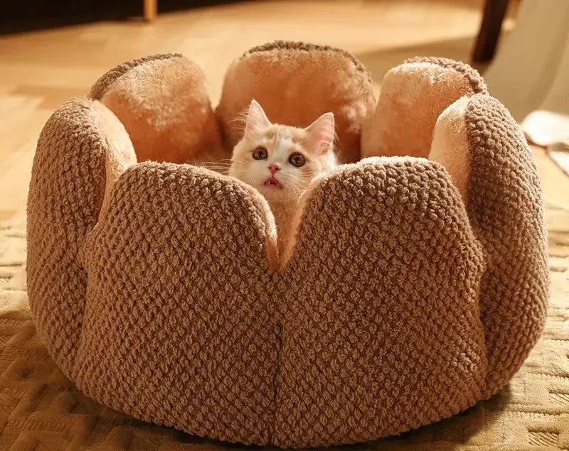 Kat in beige mand
