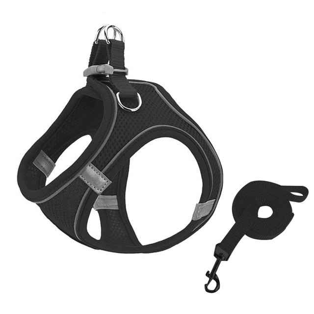 Harnas met lijn zwart