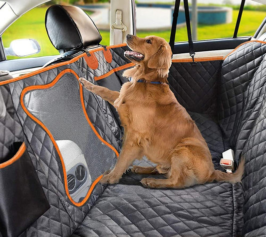 Hond in auto op waterdichte hondenmat voor de achterbank