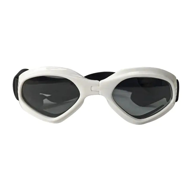 Trendy zonnebril voor hond of kat in wit
