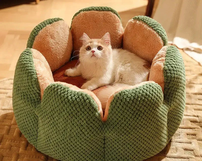 Kat in groene mand