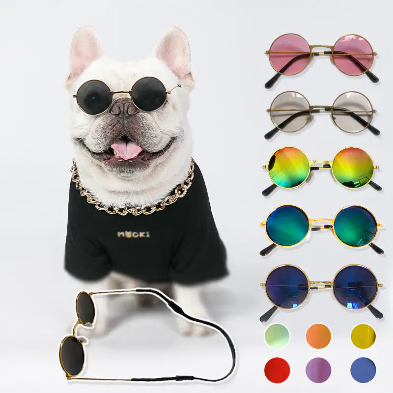 Zonnebril voor je hond of kat