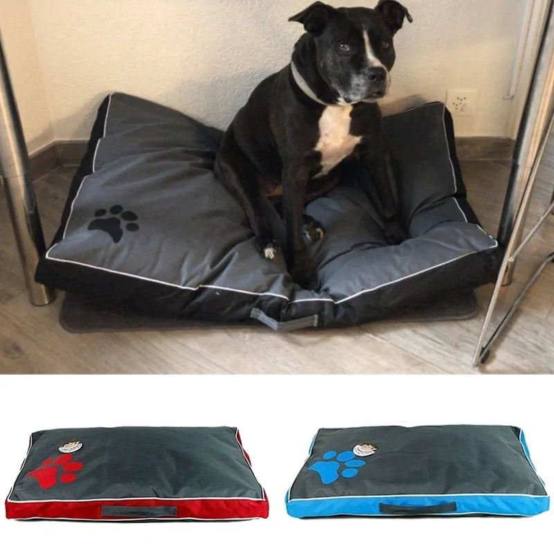 Hond op huisdierbed met alle varianten van het bed