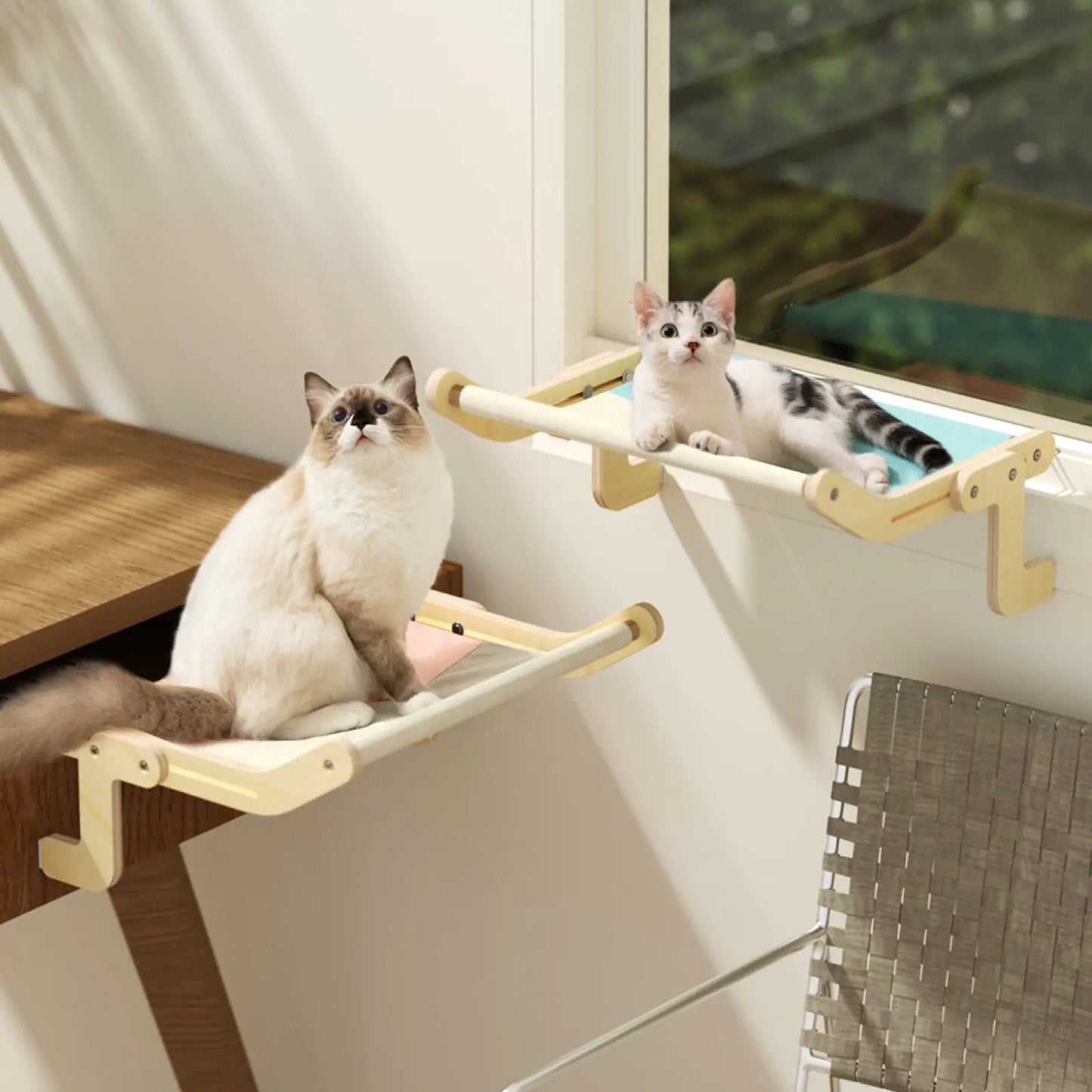 2 vensterbanken voor katten in gebruik