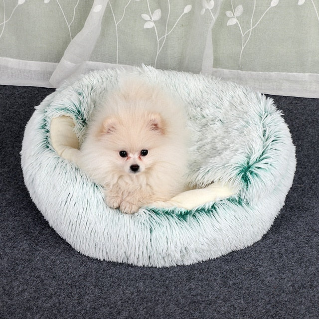 Hond op 2-in-1 dieren bed