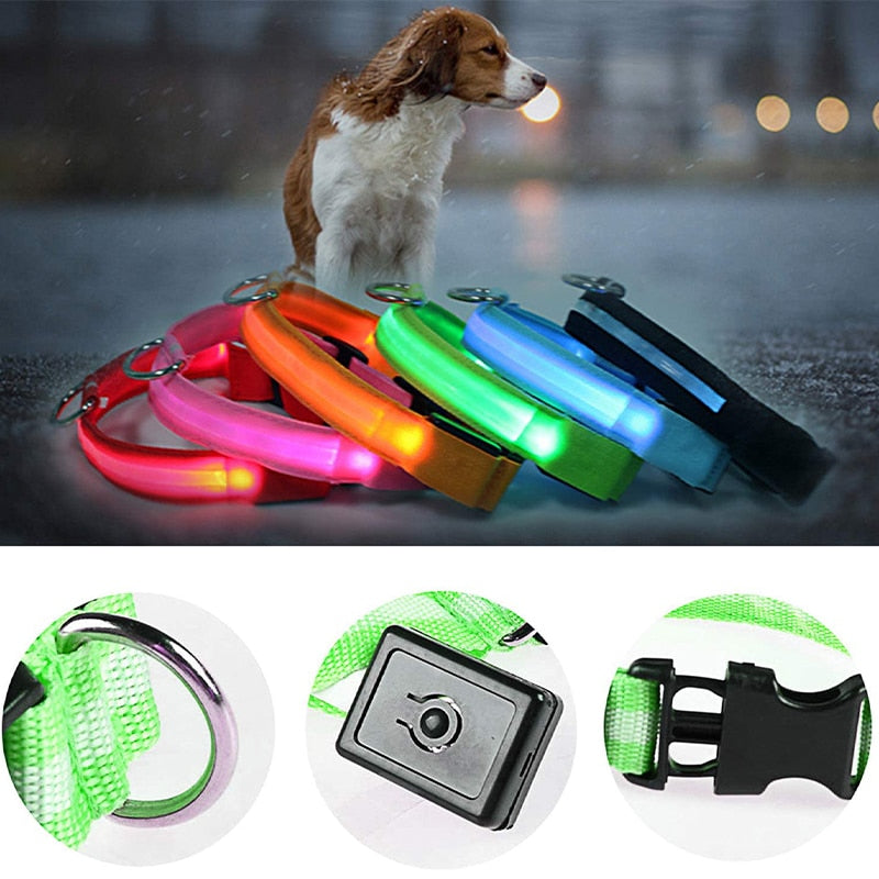 Hond met led halsband in alle kleuren en details van led halsband