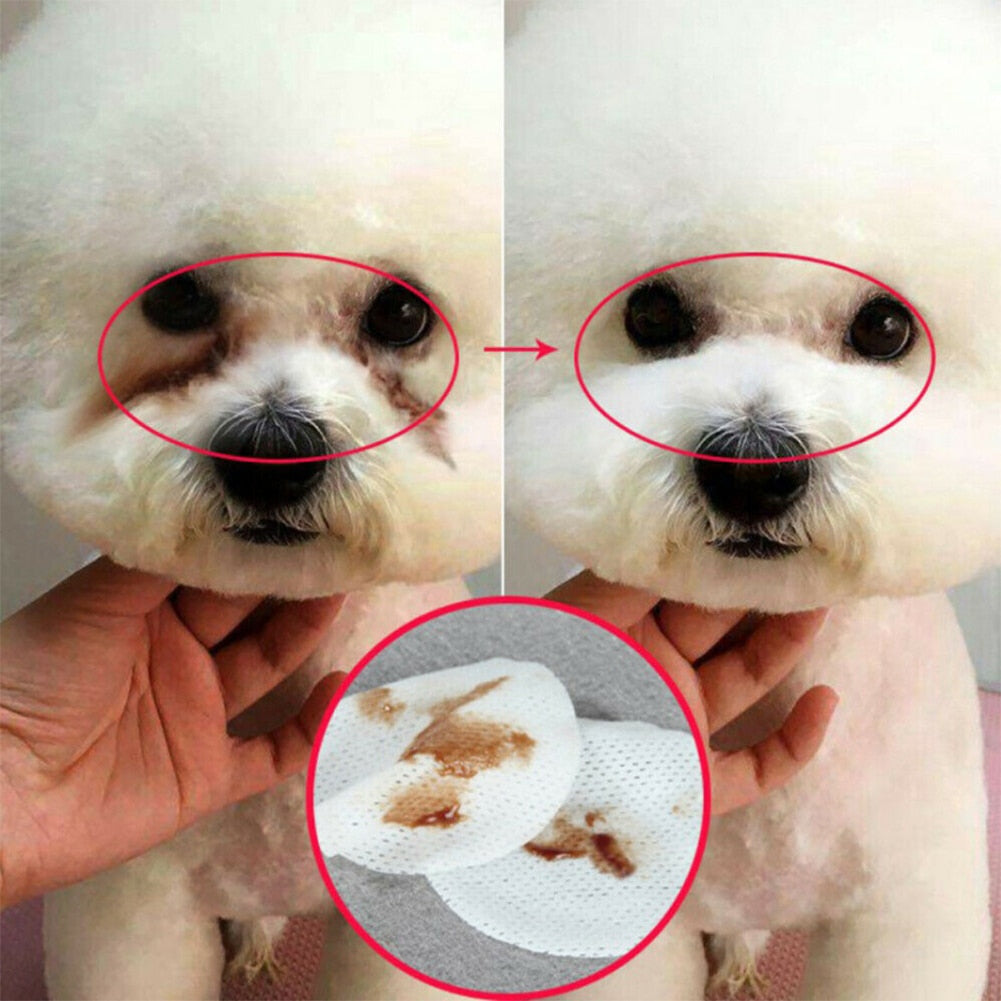Hond voor en na gebruik van vochtige doekjes