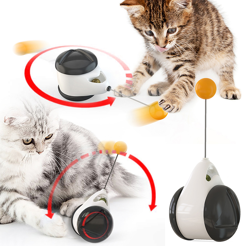 2 katten spelen met balancerende bal