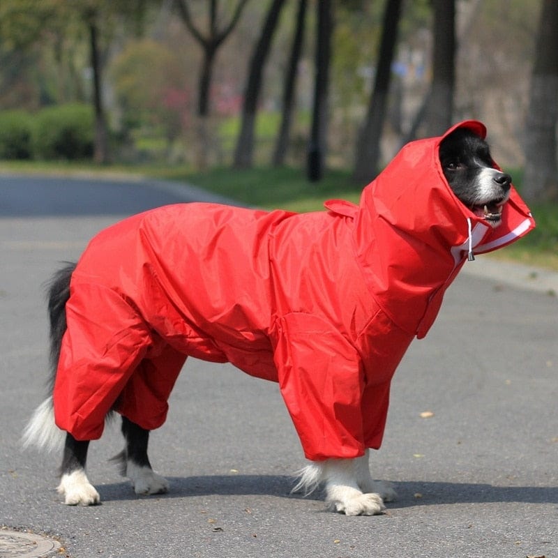 Hond in waterdichte regenjas in rood