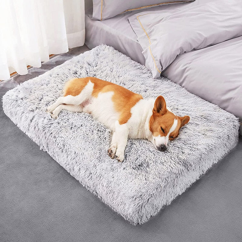 Cozy hondenmatras licht grijs met hond