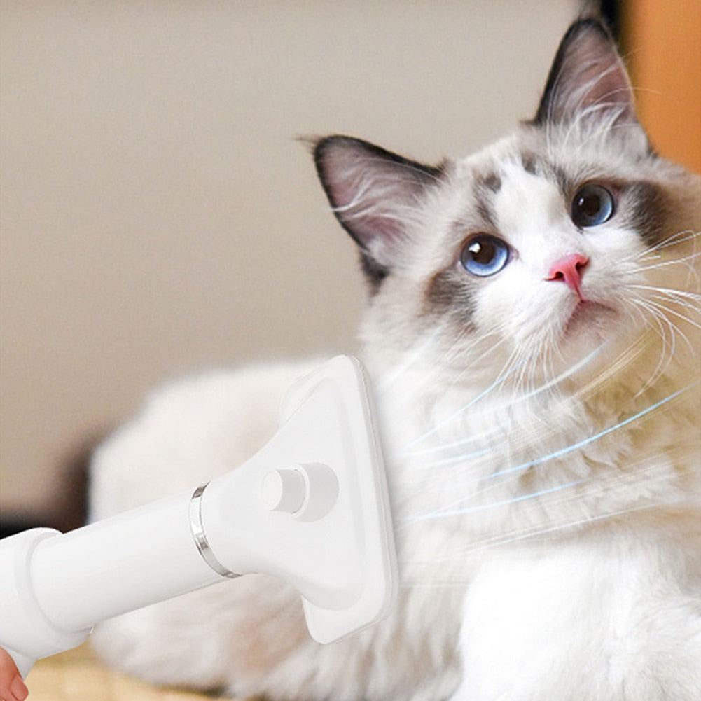Handige 2-in-1 föhn met kat