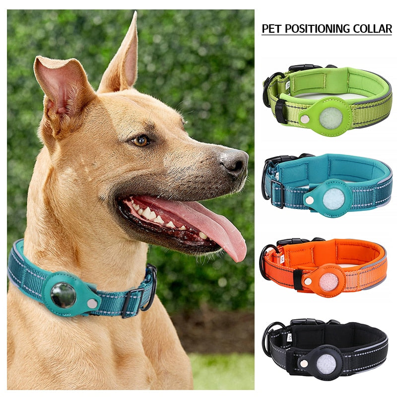 Hond met gps-houder halsband en alle kleuren banden