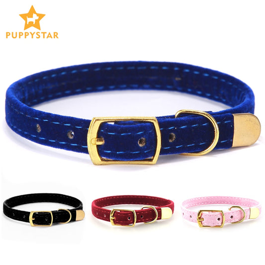 Kleurige halsband voor kleine honden of katten