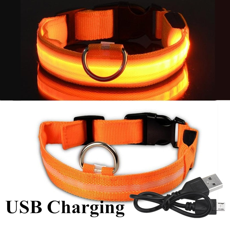 Oplaadbare led halsband in oranje