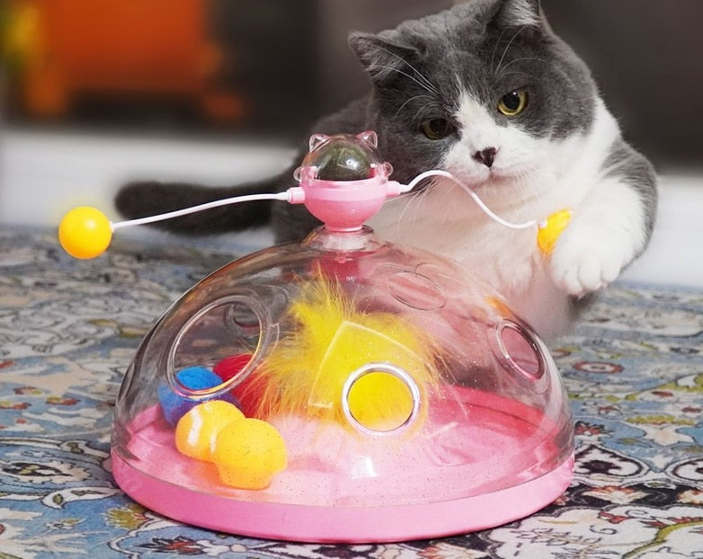 Kat speelt met multifunctionele draaitafel