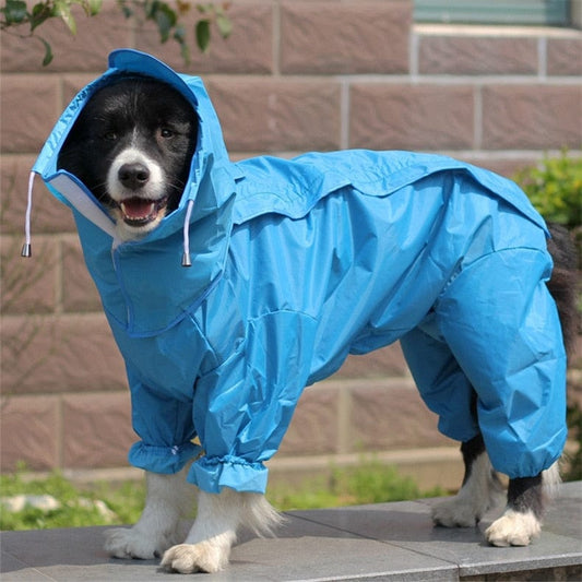 Hond in waterdichte regenjas in blauw