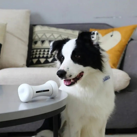 Hond met interactief bot