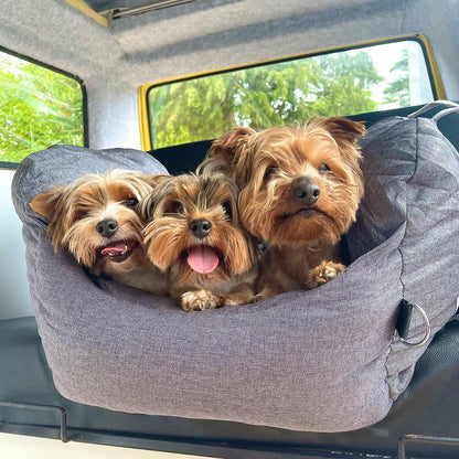 Drie hondjes in comfortabele reismand in auto