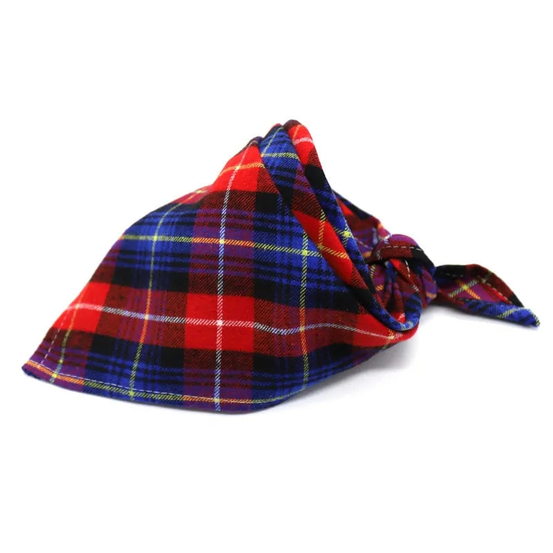 Hondensjaaltje blauw rood geel
