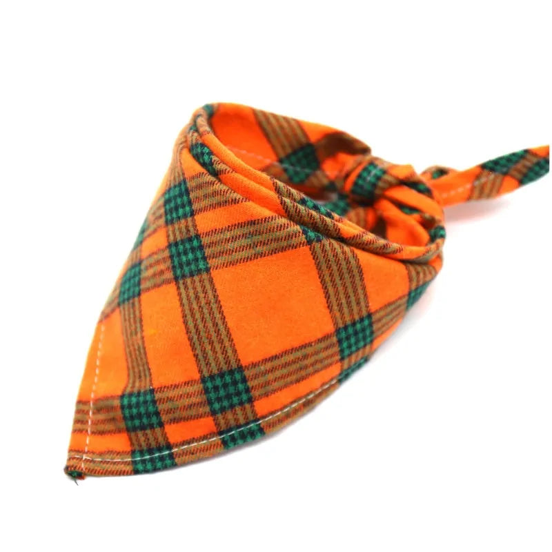 Hondensjaaltje oranje aqua