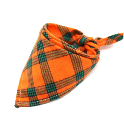 Hondensjaaltje oranje aqua