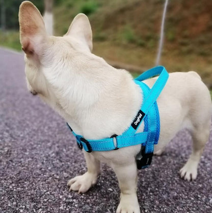 Hond met verstelbaar harnas in blauw