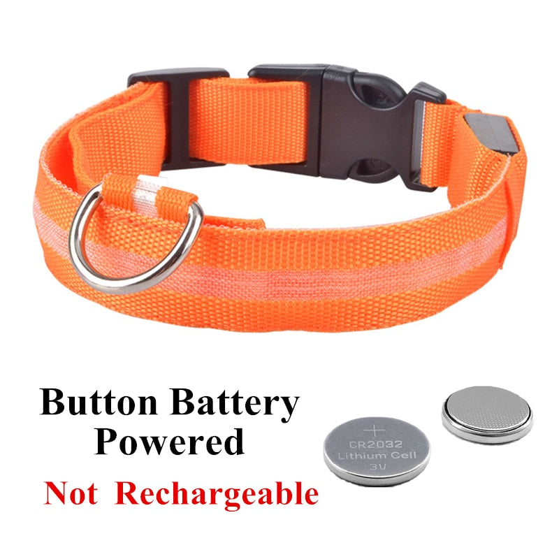 Led halsband werkend op batterijen in oranje