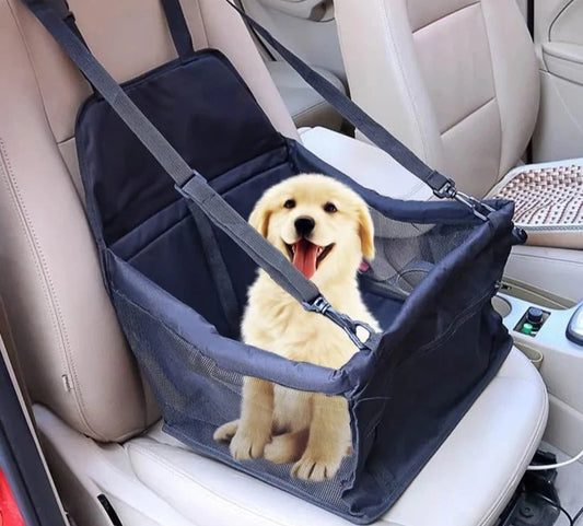 Autostoelhoes met hond