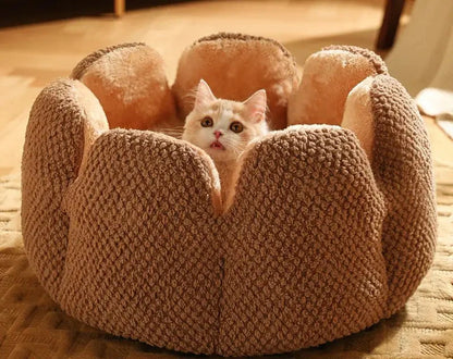 Kat in beige mand